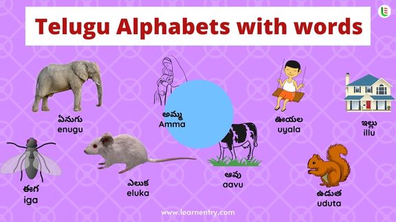 Telugu Alphabet with words