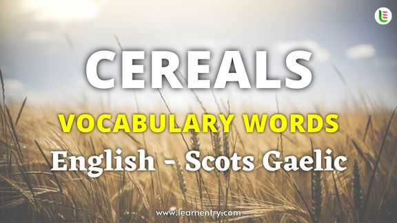 Cereals names in Scots gaelic and English