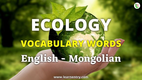 Ecology vocabulary words in Mongolian and English