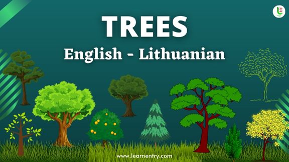 Tree names in Lithuanian and English