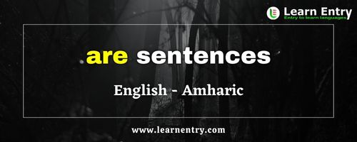 Are sentences in Amharic