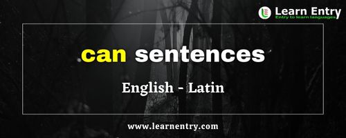Can sentences in Latin