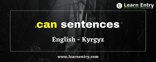 Can sentences in Kyrgyz