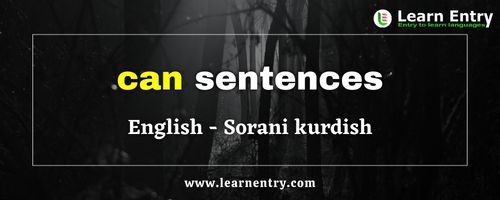 Can sentences in Sorani kurdish