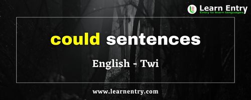 Could sentences in Twi