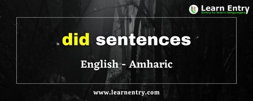 Did sentences in Amharic