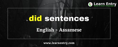 Did sentences in Assamese