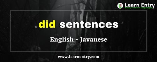 Did sentences in Javanese