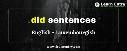Did sentences in Luxembourgish