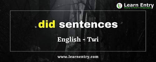 Did sentences in Twi