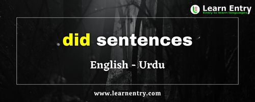 Did sentences in Urdu