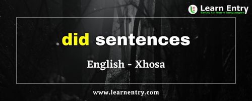 Did sentences in Xhosa