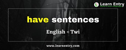 Have sentences in Twi