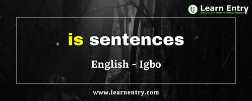 Is Sentences in Igbo and English | Learn Entry