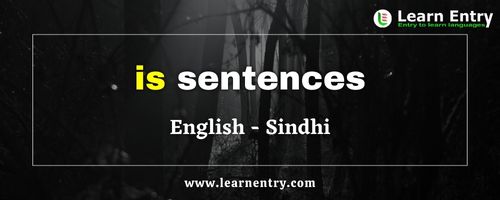 Is Sentences in Sindhi and English | Learn Entry
