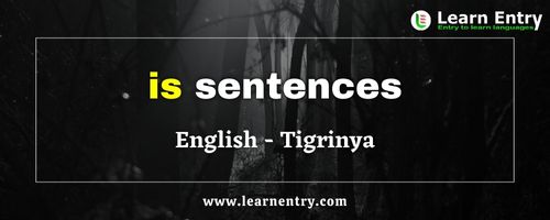 Is Sentences in Tigrinya and English | Learn Entry