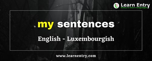My sentences in Luxembourgish
