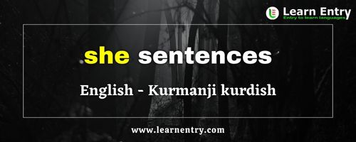 She sentences in Kurmanji kurdish