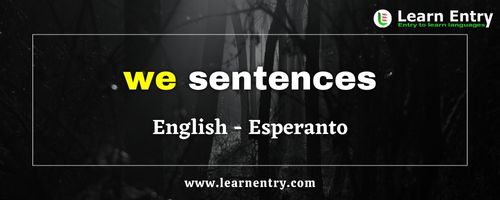We sentences in Esperanto