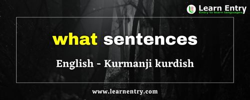 What sentences in Kurmanji kurdish
