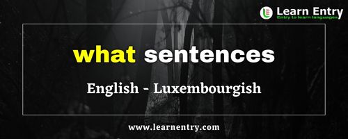 What sentences in Luxembourgish