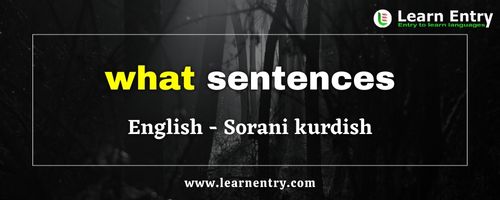 What sentences in Sorani kurdish