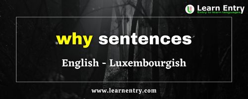 Why sentences in Luxembourgish