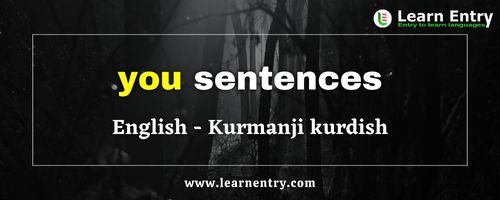 You sentences in Kurmanji kurdish
