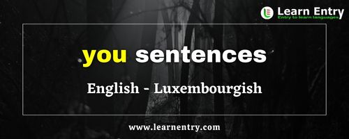You sentences in Luxembourgish