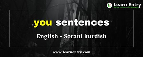 You sentences in Sorani kurdish