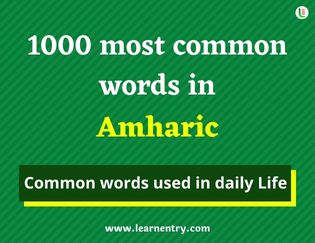 Amharic 1000 words