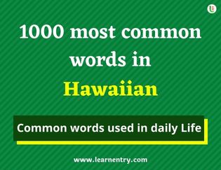 Hawaiian 1000 words