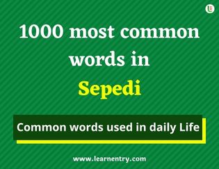 Sepedi 1000 words