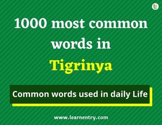 Tigrinya 1000 words