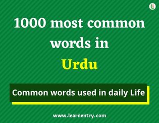 Urdu 1000 words