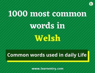 Welsh 1000 words