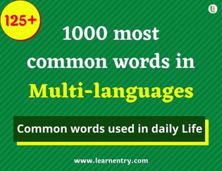 Multi-language 1000 words