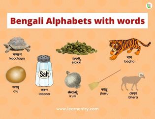 Bengali Alphabets with words
