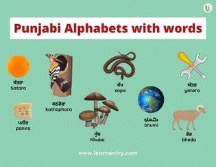 Punjabi Alphabets with words