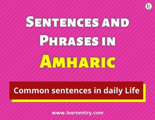 Amharic Sentences and Phrases