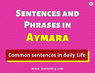Aymara Sentences and Phrases