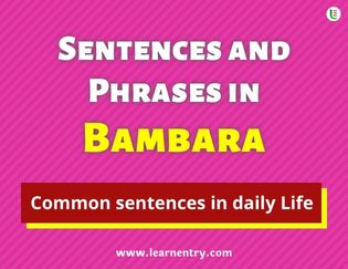Bambara Sentences and Phrases