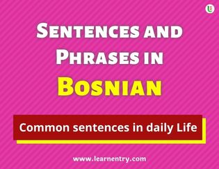 Bosnian Sentences and Phrases