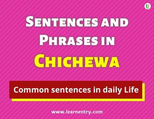 Chichewa Sentences and Phrases