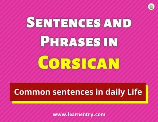 Corsican Sentences and Phrases