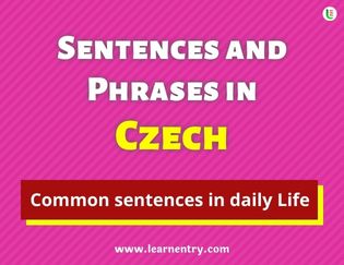 Czech Sentences and Phrases
