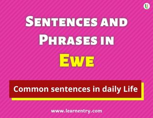 Ewe Sentences and Phrases