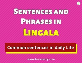 Lingala Sentences and Phrases