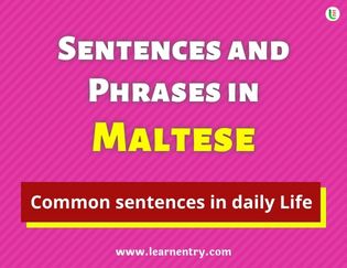 Maltese Sentences and Phrases