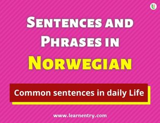Norwegian Sentences and Phrases